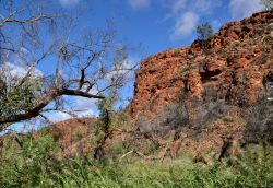 Kathleen's Springs, Watarrka National Park, Australia - Ci troviamo a circa 10 km da Kings Canyon, nel Northen Territory. Un percorso d 2,6 km a piedi conduce alle pozze d'acqua permanenti ...