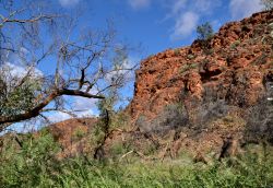 Kathleen's Springs, Watarrka National Park, ...