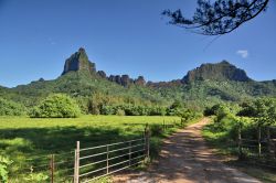 L interno verde di Moorea, siamo nella Polinesia Francese