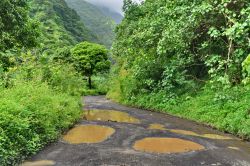 La strada difficile e selvaggia della valle del fiume Papenoo a Tahiti