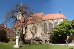 Cattedrale di San Martino a Bratislava, Slovacchia - Situata al limite occidentale della città vecchia, sotto il castello, la cattedrale è famosa per essere stata in passato, fra ...