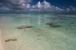La laguna di Maupiti, nella Polinesia Francese. L'isola si presenta come un atollo: al centro della laguna, abbracciata da un anello di terra, si innalnza l'affascinante vulcano Teurafaatui. ...