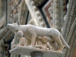Accanto alla facciata della Cattedrale di Siena, in Piazza del Duomo, su una colonna c'è la Lupa di Roma che allatta i piccoli Romolo e Remo, simbolo della città e della contrada ...