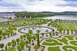 La Orangerie a sud del Palazzo di Versailles in Francia venne creata sotto la direzione di Jules Hardouin-Mansart che la completò nel 1686. Serviva per ospitare durante l'inverno ...