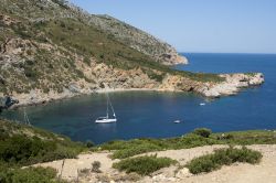 La baia di Kyra Panagia alle Sporadi. Si trova ad Alonissos, nella parte centro occidentale del Mar Egeo, in Grecia - © baldovina / Shutterstock.com
