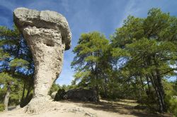 A breve distanza da Cuenca, nella regione spagnola della Castiglia-La Mancia, sorge il sito naturale detto Ciudad Encantada, ovvero "Città Incantata": 250 ettari di rocce dalle ...