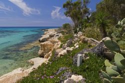 La costa vicino a Agia Napa con mare smeraldo e macchia mediterranea a Cipro - © Pawel Kazmierczak / Shutterstock.com