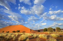 La grande duna di sabbia di Sossusvlei si trova nel deserto della Namibia - © EcoPrint / Shutterstock.com