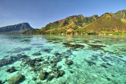 La laguna nord dell'isola di Moorea in Polinesia. Notare la trasparenza dell'acqua e l'abbondanza di formazioni coralline che rendono entusiasmante lo snorkeling