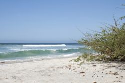 La bella spiaggia di Punta de Mita nello stato di Nayarit, Messico - © Ricardo Villasenor / Shutterstock.com