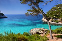 Cala Mitjaneta, lungo la costa meridionale di Minorca (Isole Baleari, Spagna), è una piccola spiaggia dal sapore selvaggio, raggiungibile a piedi dalla vicina Cala Mitjana. Acqua cristallina ...