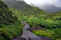 La valle del fiume Papenoo a Tahiti, stile Jurassic Park