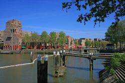 La vecchia baia del porto di Rotterdam in Olanda - © Styve Reineck / Shutterstock.com
