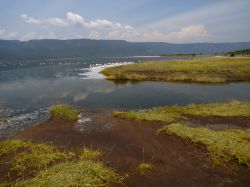 Il Lago Bogoria è uno dei grandi bacini lacustri della Rift Valley del Kenya, la famosa spaccatura della croste terrestre sul contininente dell' Africa - © Txanbelin ...