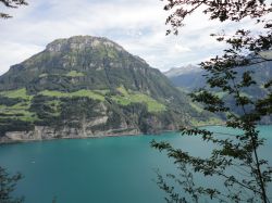 Lago dei Quattro Cantoni vicino a Bauen, Cantone di Uri