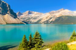 Uno dei laghi alpini che costellano il Jasper National Park della provincia di Alberta, in Canada - © Constantine Androsoff / Shutterstock.com