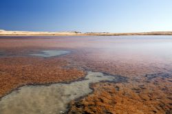 Il lago salato che si trova all'inzio del Parco di Ras Mohammed nel Sinai, in Egitto - © stephan kerkhofs / Shutterstock.com