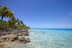 Le spiagge dell'isola di Réunion (Isole Mascarene, Francia d'oltremare) sono paradisiache e tutte diverse: selvagge o mondane, frastagliate di scogli oppure di sabbia soffice ...