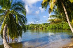 Uno scorcio dell'isola di Sainte-Marie, luogo ideale per fare snorkeling in Madagascar - © Pierre-Yves Babelon / Shutterstock.com