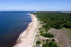 Le grandi spiagge di Palanga si aprono lungo le coste sul Baltico della Lituania - © vikau / Shutterstock.com