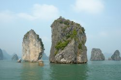 Le rocce di Halong Bay in Vietnam. Si tratta di "Karst" cioè il risultato di erosione carsica che ha creato questi pinnacoli residuali che si innalzano come torri di roccia ...