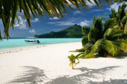 Maupiti appartiene alle Isole della Società nella Polinesia Francese, per l'esattezza alle Isole Sottovento. Grazie alla sabbia bianca, le palme, l'acqua cristallina e la quiete ...