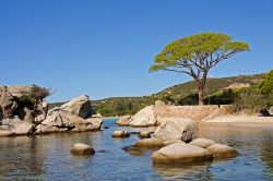 Le spettacolari rocce levigate della Palombaggia ...