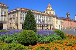 In Piazza Castello, a Torino, sorgono i palazzi più importanti della città, ma c'è spazio anche per qualche aiuola fiorita che rende la passeggiata ancor più ...