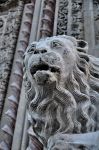 Il Leone all'Ingresso del Palazzo dei Priori. E' uno dei simboli di Perugia