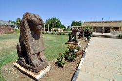 Leoni di granito esposti in fila al Museo Nazionale di Khartoum in Sudan - © Enrico Montanari