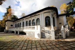 Libreria a Granada Andalusia in Spagna - © javi_indy / Shutterstock.com