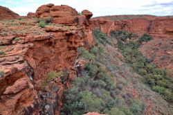 Lookout del Kings Canyon del Northern Territory, in Australia - Il Kings Canyon tocca un'altitdine di 270 m sulla valle sottostante, e tende a restringersi man mano si procede verso est. ...