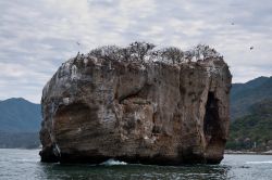 Los Arcos, Puerto Vallarta: il Parque Nacional Los Arcos è una delle principali attrazioni di Vallarta. I faraglioni e le isolette che sorgono proprio di fronte alla spiaggia di Mismaloya ...