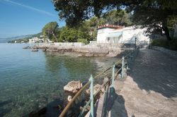 Il litorale di Opatija (Abbazia), Croazia, è un susseguirsi di camminamenti e passeggiate per godere dei profumi mediterranei e della brezza che spira dal mare. In tutto si contano 12 ...