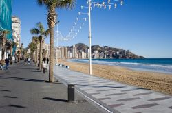 L'elegante lungomare e la grande spiaggia a Benidorm, la località costiera della Comunidad Valenciana, nella Spagna orientale - © Amanda Hsu / Shutterstock.com