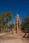 Magnetic Termite Mounds Litchfield National Park Australia