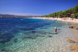 Il meraviglioso mare di Brac: Zlatni Rat la spiaggia del corno d'oro, la gemma della Dalmazia e di tutta la Croazia - © Zocchi / Shutterstock.com