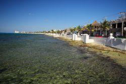 Il mare di Cozumel: la costa occidentale dell'isola è riparata dai venti e quindi possiede un mare mediamente più calmo rispetto al lato orientale di Cozumel. Sull'isola ...