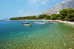 Il Mare cristallino della Riviera Makarska in Dalmazia. Siamo in Croazia, appena a sud della città di Split (Spalato)  - © Pawel Kazmierczak / Shutterstock.com