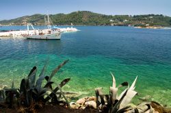 Il mare limpido delle Sporadi settentrionali: l'isola di Skiathos, famosa per le sue spiagge tra le migliori della Grecia - © Piotr Tomicki / Shutterstock.com