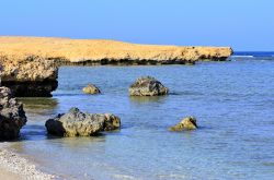 il mare pulito lungo la costa del Mar Rosso nella reguione di Marsa Alam in Egitto - © maudanros / Shutterstock.com