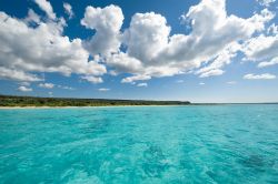 Mare perfetto per snorkeling ed immersioni a Barahona, lungo la penisola più occidentale della costa sud della Repubblica Dominicana - © Dominican Repubblic Ministry of Tourism