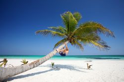 Il mare cristallino ed una palma sulla bianca spiaggia di Tulum: ci troviamo sulla costa della Riviera Maya in Messico, più precisamente lungo il litorale orientale della penisola dello ...
