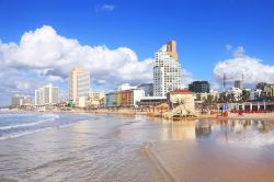Le spiagge di Tel Aviv (Israele) sono ampie e sabbiose, lambite da un'acqua cristallina e incorniciate dai grattacieli moderni della città. C'è chi ha ribattezzato Tel ...