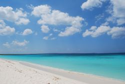 Il mare incredibile a Barahona: questa spiaggia bianca, bordata da mare cristallino caratterizza la Bahia de las Aguilas - © Dominican Repubblic Ministry of Tourism