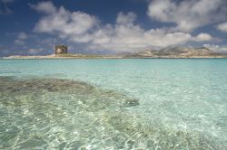 Mare limpido e trasparente a Stintino: ci troviamo sulla secca della spiaggia della Pelosa, una delle attrazioni più famose della Sardegna settentrionale  - © ghido / Shutterstock.com ...