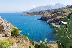Mare lungo la Riserva dello Zingaro, Sicilia occidentale - © RZ Design / Shutterstock.com