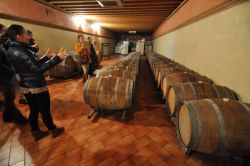 Martina Adami spiega la stagionatura dei vini rossi in botti di rovere nella Cantina Corte Adami a Soave