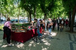 Il mercatino della Fiera dell'Antichità in Avenida Liberdade a Lisbona - foto © www.cm-lisboa.pt