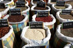 Variopinto mercato a Marigot, capitale francese dell'isola di Saint Martin  - © jeff gynane / Shutterstock.com